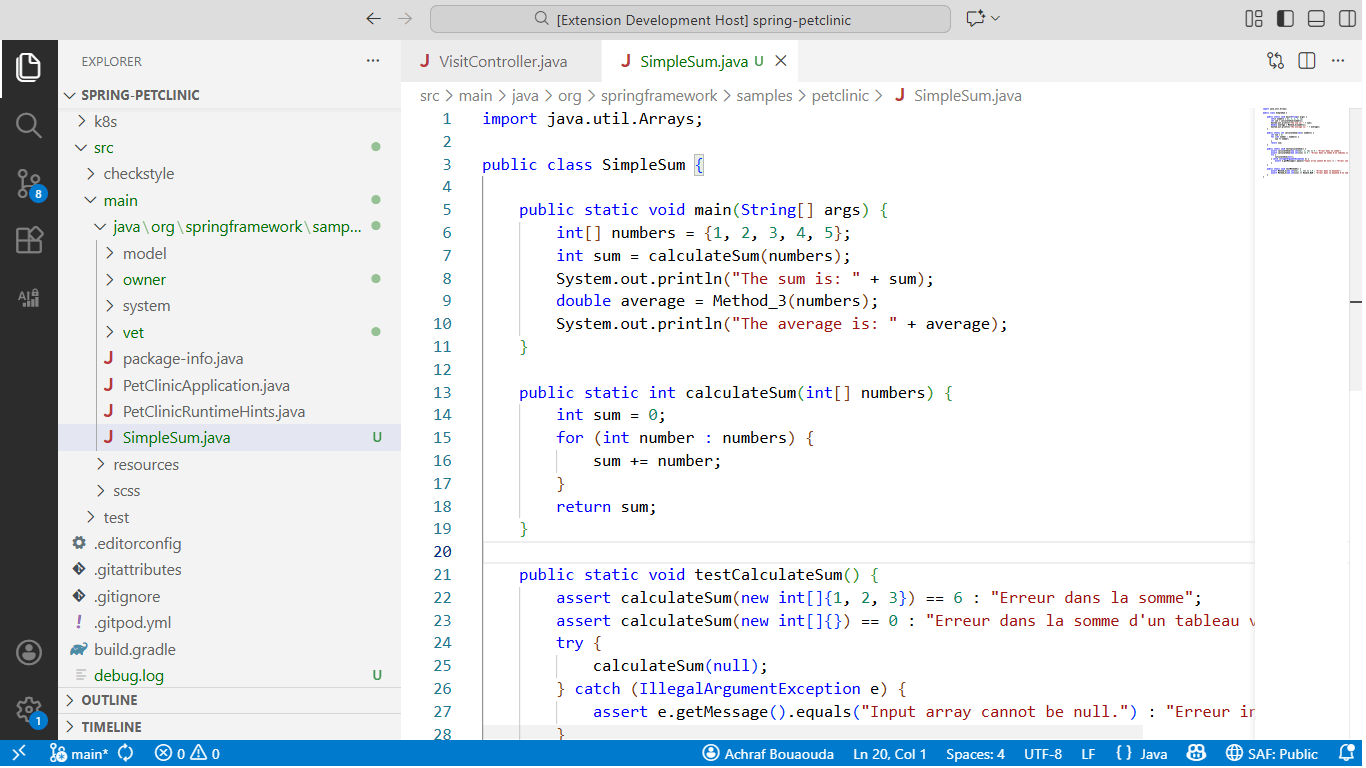 VS Code Extension Screenshot